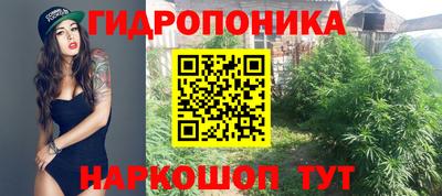 mix Гатчина