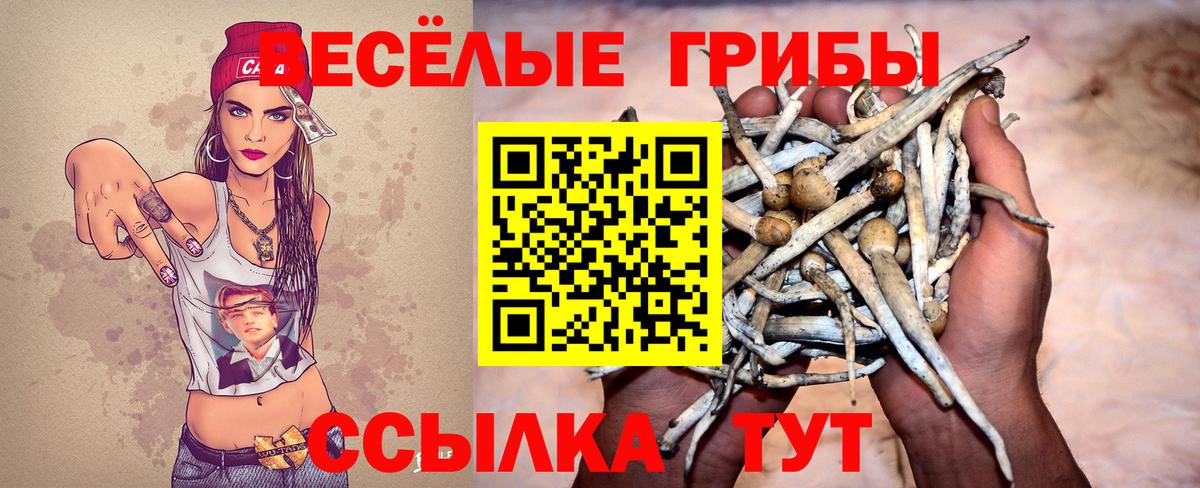 Галлюциногенные грибы прущие грибы Можга